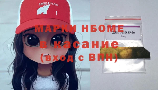 прущие грибы Корсаков