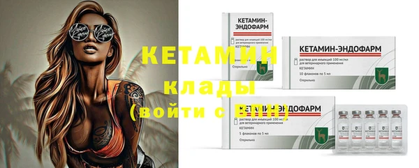 прущие грибы Корсаков