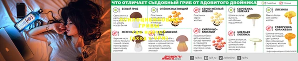 марки nbome Кодинск