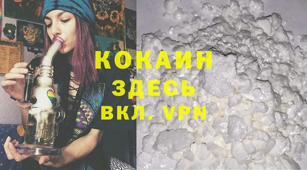 прущие грибы Корсаков