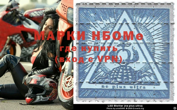 прущие грибы Корсаков