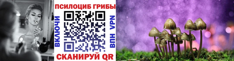 hydra ссылки  купить закладку  Киржач  Псилоцибиновые грибы Psilocybe 