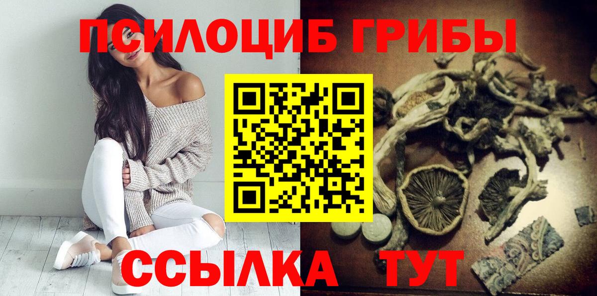 Псилоцибиновые грибы Psilocybe  Вход с VPN  Киржач 