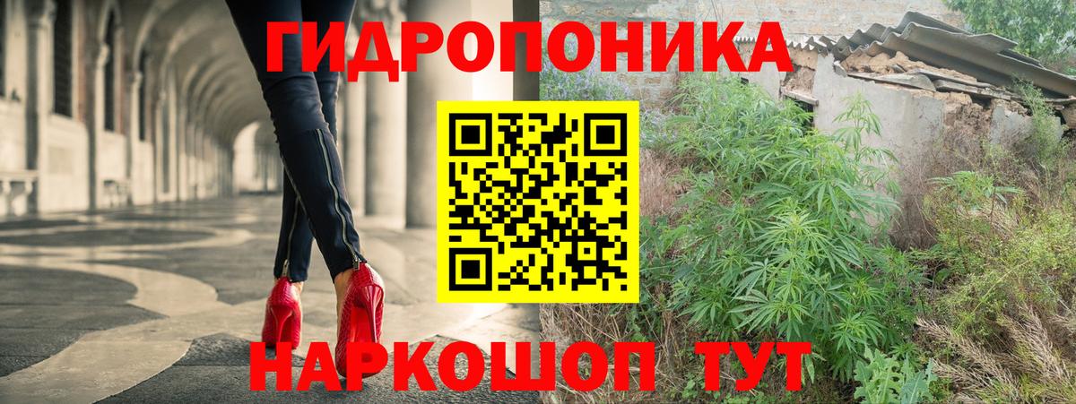 Шишки марихуана конопля  Конопля White Widow  Вход с VPN  Каннабис марихуана  Киржач 